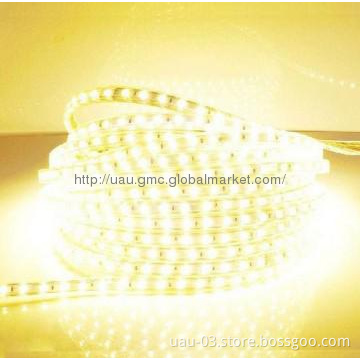Waterproof 12V  SMD 5050 LED Strip Light